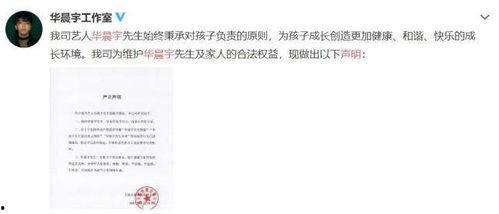 娱乐圈吃瓜作文,揭秘明星背后的故事